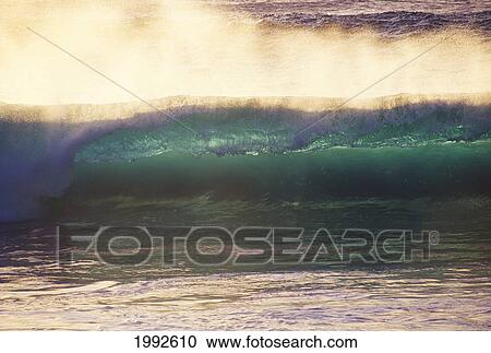 Front View Of Powerful Wave With Crashing Lip, Spray Off Tips Glassy Foreground, Afternoon Light View Large Photo Image Stock Image - Front View Of Powerful Wave With Crashing Lip, Spray Off Tips Glassy Foreground, Afternoon Light. Fotosearch