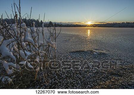 Frost and light snow on a frozen lake at sunset; Ontario, Canada View Large Photo Image Stock Image - Frost and light snow on a frozen lake at sunset; Ontario, Canada. Fotosearch