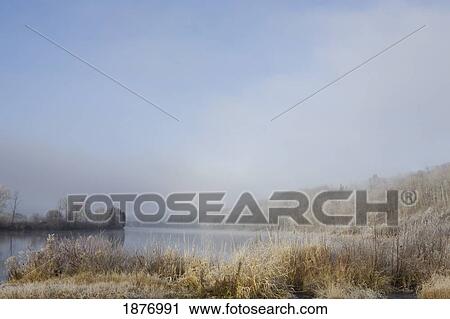 Frost On The Tall Grass Along The Shore Of A Lake; Thunder Bay, Ontario, Canada View Large Photo Image Stock Image - Frost On The Tall Grass Along The Shore Of A Lake; Thunder Bay, Ontario, Canada. Fotosearch