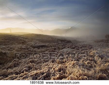 Stock Photo - Frosted Fields And Misty Valley. Fotosearch