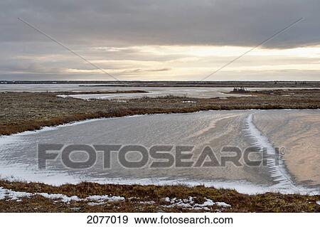 Stock Photo - Frozen Landscape With Patches Of Ice On The Grass At Sunset; Churchill Manitoba Canada. Fotosearch