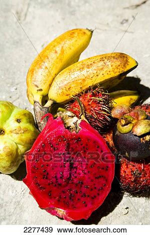 Fruit selection of dragon fruit, seedless guava, mangostine and rambutan on Cenang beach; Pulau Langkawi, Malaysia View Large Photo Image Stock Photo - Fruit selection of dragon fruit, seedless guava, mangostine and rambutan on Cenang beach; Pulau Langkawi, Malaysia. Fotosearch