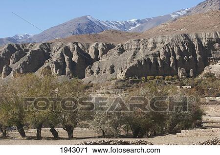 Stock Image - Fruit Trees In Shekh Ali, Parwan Province, Afghanistan. Fotosearch