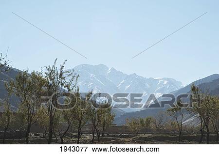 Stock Photo - Fruit Trees In The Siagerd Valley, Parwan Province, Afghanistan. Fotosearch