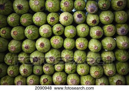 Stock Photo - Full Frame Image Of Courgette Vegetable For Sale, Sulaymaniyah, Iraqi Kurdistan, Iraq. Fotosearch