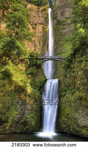 Full Height Of Multnomah Falls; Oregon United States Of America View Large Photo Image Stock Image - Full Height Of Multnomah Falls; Oregon United States Of America. Fotosearch