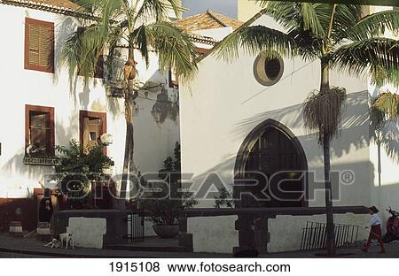 Funchal View Large Photo Image Stock Photo - Funchal. Fotosearch