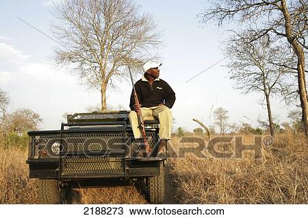 Game Drive Kruger Park South Africa View Large Photo Image Stock Image - Game Drive Kruger Park South Africa. Fotosearch