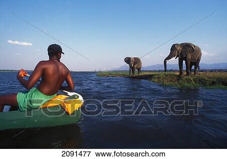 Game Viewing By Canoe Down The Zambezi River, Mana Pools Zambezi River Zimbabwe. View Large Photo Image Stock Photo - Game Viewing By Canoe Down The Zambezi River, Mana Pools Zambezi River Zimbabwe.. Fotosearch