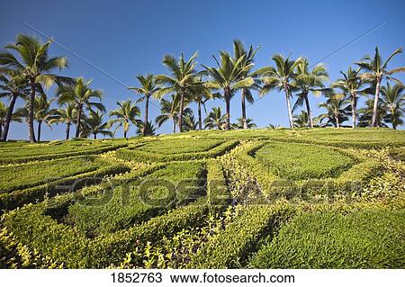 Stock Image - Garden Landscaping; Thailand. Fotosearch