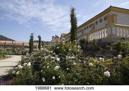 Garden Of Estancia El Cuadro, Casablanca Valley, Valparaiso Region, Chile View Large Photo Image Stock Image - Garden Of Estancia El Cuadro, Casablanca Valley, Valparaiso Region, Chile. Fotosearch