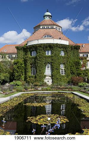 Garden Pond With Lilies And An Ivy Covered Building; Munich, Germany View Large Photo Image Stock Image - Garden Pond With Lilies And An Ivy Covered Building; Munich, Germany. Fotosearch