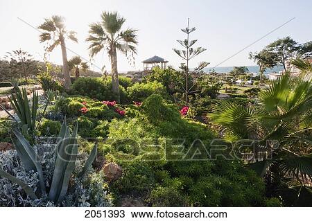 Gardens Of Al Montazah Palace By The Mediterranean Sea, Alexandria, Al Iskandar View Large Photo Image Stock Image - Gardens Of Al Montazah Palace By The Mediterranean Sea, Alexandria, Al Iskandar. Fotosearch