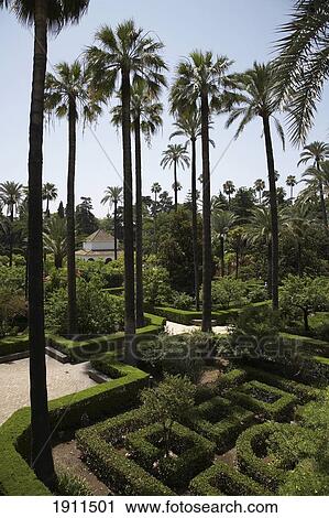 Gardens Of Alcazar Palace, Seville, Spain View Large Photo Image Stock Image - Gardens Of Alcazar Palace, Seville, Spain. Fotosearch