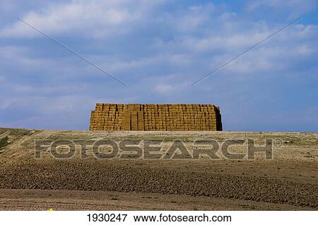 Stock Photo - Gargano Hay Bale, Puglia, Italy. Fotosearch