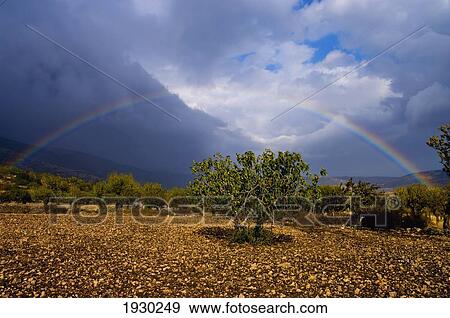 Gargano Landscape, Puglia, Italy View Large Photo Image Stock Photo - Gargano Landscape, Puglia, Italy. Fotosearch
