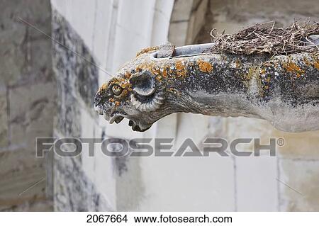 Picture - Gargoyle Waterspout Of The Chapel Of Saint-Hubert At The Ch. Fotosearch
