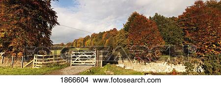 Picture - Gate, Northumberland, England. Fotosearch