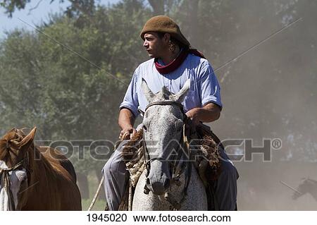 Stock Image - Gaucho riding a horse, Estancia Santa Susana, Los Cardales, Provincia de Buenos Aires, Argentina. Fotosearch
