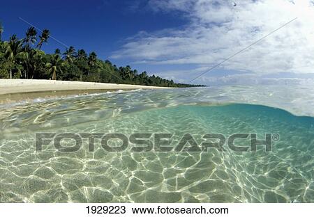 Stock Image - Gentle Clear Waters Lap The Shore Of A Sandy Beach; Island Of Foa, Ha'apai, Kingdom Of Tonga. Fotosearch