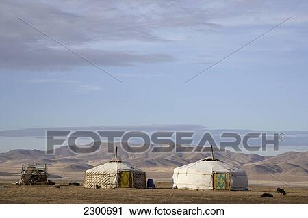 Stock Image - Gers And Steppe Near Karkhorin; Mongolia. Fotosearch