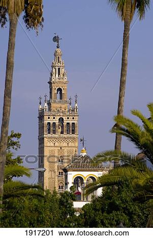 Giralda, Cathedral View Large Photo Image Stock Image - Giralda, Cathedral. Fotosearch