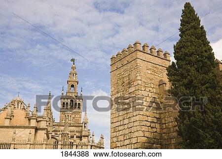 Giralda Tower And Cathedral With Walls Of Real Alcazar; Seville, Seville Province, Spain View Large Photo Image Stock Photo - Giralda Tower And Cathedral With Walls Of Real Alcazar; Seville, Seville Province, Spain. Fotosearch