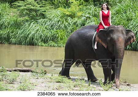 Stock Photography - Girl riding an elephant; Chiang Mai, Thailand. Fotosearch