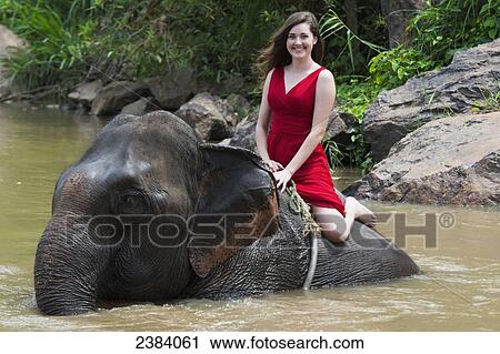 Stock Image - Girl riding an elephant in the river; Chiang Mai, Thailand. Fotosearch