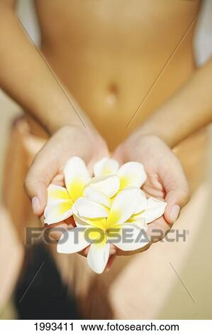 Stock Image - Girl Standing On Tropical Beach Holding Out Plumeria's, Torso And Hands. Fotosearch