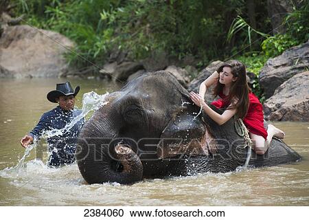 Stock Image - Girl washing an elephant in the river; Chiang Mai, Thailand. Fotosearch