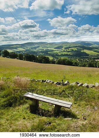 Glentree Forest, Near Peebles, Tweed Valley, Scottish Borders, Uk View Large Photo Image Picture - Glentree Forest, Near Peebles, Tweed Valley, Scottish Borders, Uk. Fotosearch