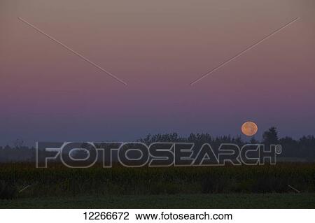 Stock Image - Glowing full moon with farmland and silhouette of trees; Quebec, Canada. Fotosearch