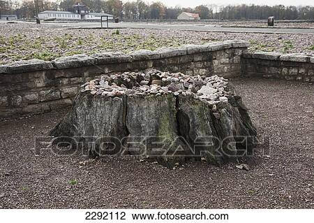 Stock Image - Goethe's Oak, Buchenwald Concentration Camp; Buchenwald, Germany. Fotosearch