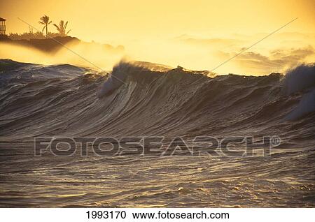 Golden Afternoon Waves, Stormy Sea. View Large Photo Image Stock Image - Golden Afternoon Waves, Stormy Sea.. Fotosearch