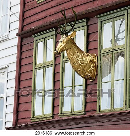Golden Deer Head Mounted To The Exterior Wall Of A Building; Bergen Norway View Large Photo Image Stock Photograph - Golden Deer Head Mounted To The Exterior Wall Of A Building; Bergen Norway. Fotosearch