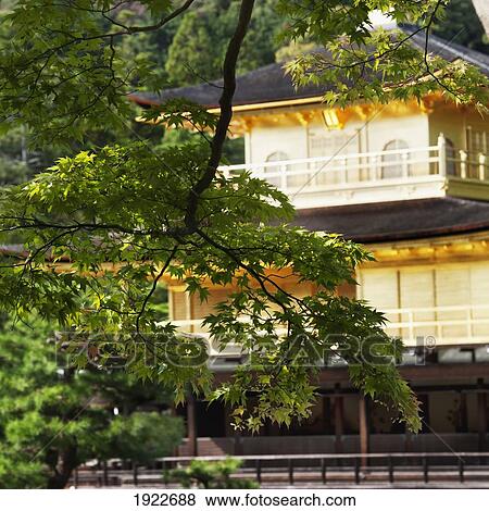 Golden Pavilion, A Buddhist Temple; Kinkaku Ji, Kyoto, Japan View Large Photo Image Stock Photo - Golden Pavilion, A Buddhist Temple; Kinkaku Ji, Kyoto, Japan. Fotosearch