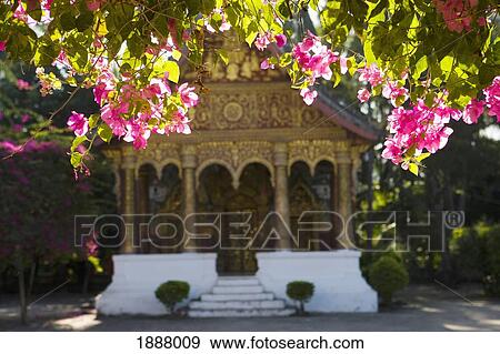 Golden Temple, Wat Pa Phai. View Large Photo Image Stock Photo - Golden Temple, Wat Pa Phai.. Fotosearch