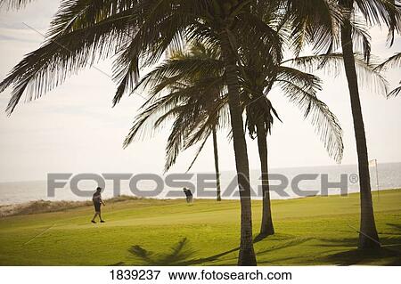 Stock Photo - Golfers Playing In Estella Del Mar Golf Country Club, Robert Trent Jone Jr. Championship Course Design; Mazatlan, Sinaloa, Mexico. Fotosearch