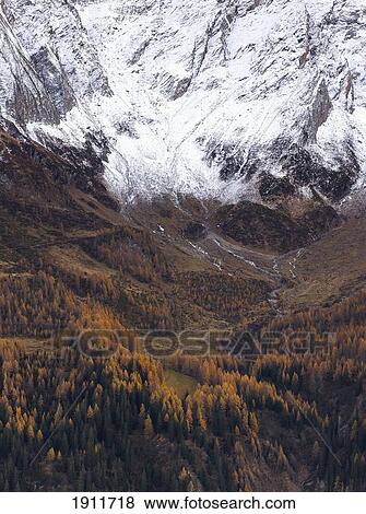Gothtard Pass With Snow And Autumn Colors, Switzerland View Large Photo Image Stock Photo - Gothtard Pass With Snow And Autumn Colors, Switzerland. Fotosearch