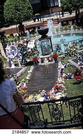 Graceland, Memphis, Tennessee, Usa View Large Photo Image Stock Photo - Graceland, Memphis, Tennessee, Usa. Fotosearch