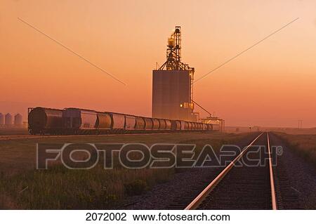 Stock Image - Grain Rail Hopper Cars Being Loaded At An Inland Grain Terminal, Gull Lake, Saskatchewan. Fotosearch