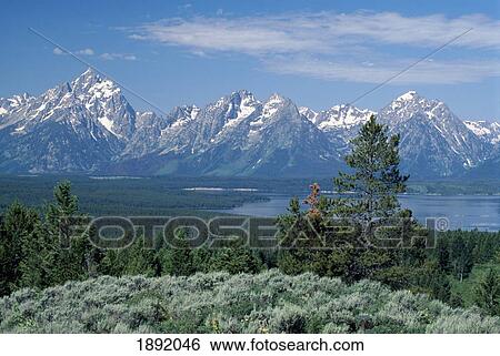Stock Photograph - Grand Tetons From Signal Mountain. Fotosearch