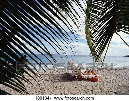 Grande Anse Beach View Large Photo Image Stock Photo - Grande Anse Beach. Fotosearch