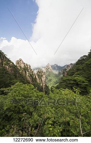 Stock Image - Granite peaks with pine trees in the North Sea Scenic area, Mount Huangshan, Anhui, China. Fotosearch