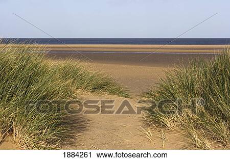 Stock Image - Grass And Sand Dunes On Holkham Beach. Fotosearch