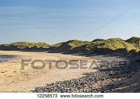 Stock Image - Grass covered sand dunes along beach with blue sky, near Doonbeg; County Clare, Ireland. Fotosearch