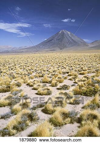 Grasslands Towards Volcano In The Andes View Large Photo Image Stock Image - Grasslands Towards Volcano In The Andes. Fotosearch