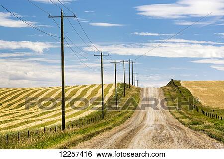 Stock Photograph - Gravel road climbing a hill with wooden electrical poles and a brown cut field on one side and a golden grain field on the other with blue sky and clouds; Alberta, Canada. Fotosearch