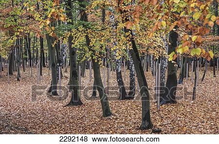 Graves of Soviet camp inmates, Buchenwald Concentration Camp; Buchenwald, Germany View Large Photo Image Stock Photo - Graves of Soviet camp inmates, Buchenwald Concentration Camp; Buchenwald, Germany. Fotosearch